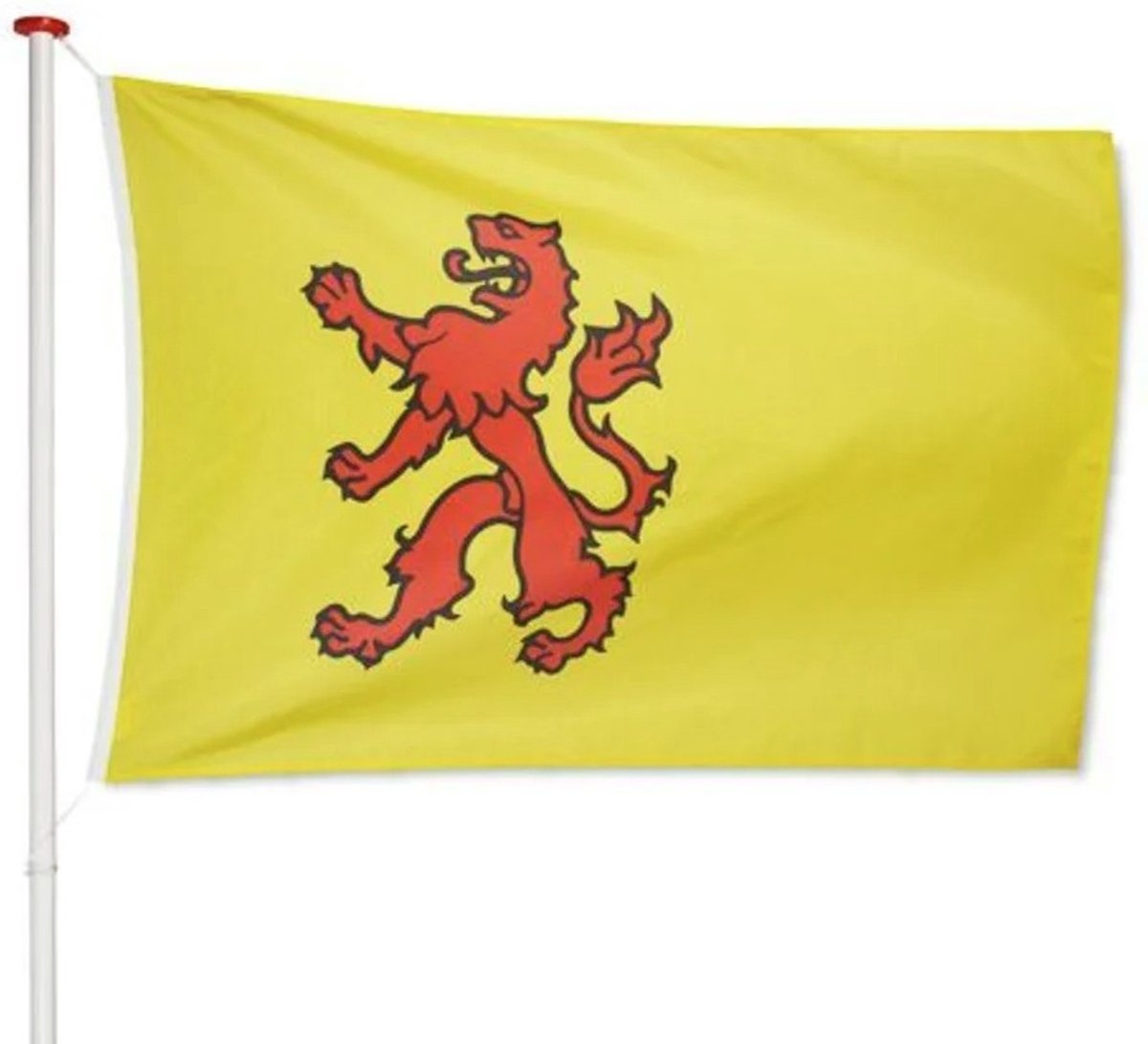 Zuid Holland vlag Zuid Holland | Zuid Hollandse vlag geschikt voor vlaggenstok | afm. 100x150 cm, polyester | VlaggenEnMasten.nl